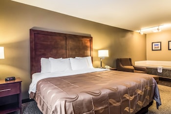 Room, 1 King Bed, Non Smoking (Pet Friendly)