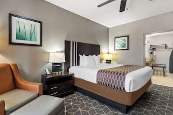Standard Room, 1 King Bed, Accessible, Bathtub