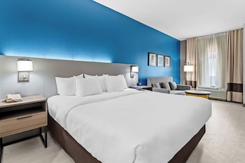 Room, 1 King Bed, Accessible, Non Smoking