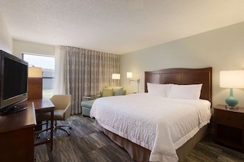 Room, 1 King Bed, Accessible, Non Smoking
