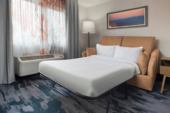 Executive Suite, 1 King Bed with Sofa bed