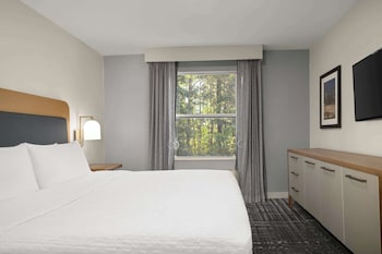 Suite, Accessible, Bathtub (1 Kingbed and 2 Doublebeds)