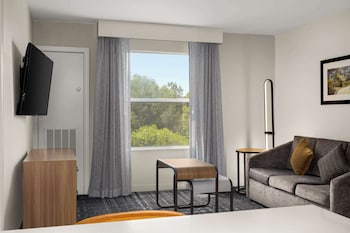 Deluxe Suite, 1 King Bed, Non Smoking