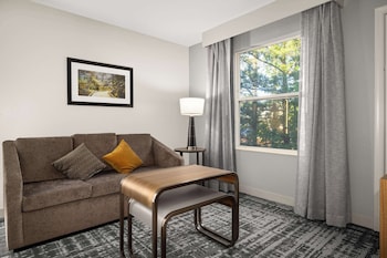 Suite, 1 King Bed, Accessible, Bathtub (Mobility & Hearing)