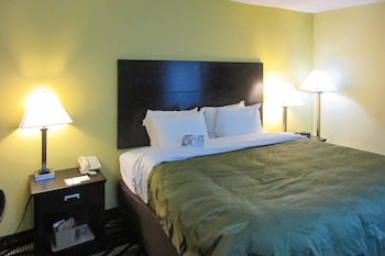 Standard Room, 1 King Bed, Non Smoking