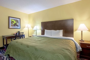 Standard Room, 1 King Bed, Non Smoking