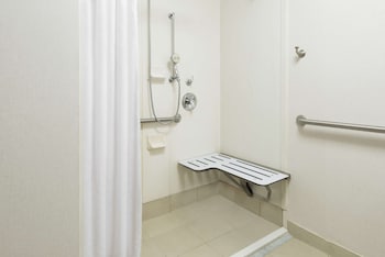 Suite, 1 King Bed, Accessible (Mobility & Hearing, Roll-in Shower)