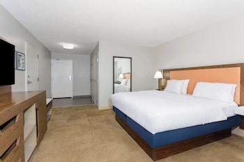 Room, 1 King Bed, Accessible, Non Smoking