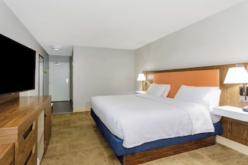Room, 1 King Bed, Accessible