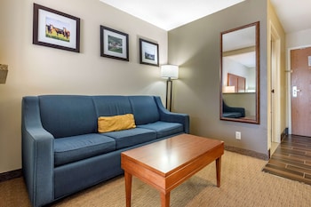 Suite, 1 King Bed with Sofa bed, Non Smoking