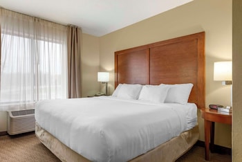 Suite, 1 King Bed with Sofa bed, Non Smoking