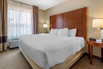 Suite, 1 King Bed with Sofa bed, Non Smoking