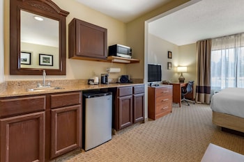 Suite, 1 King Bed with Sofa bed, Non Smoking