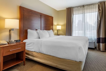 Standard Room, 1 King Bed, Non Smoking