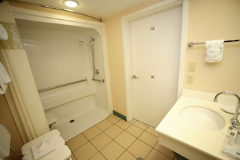 Room, 1 King Bed, Accessible, Non Smoking (Roll-In Shower)