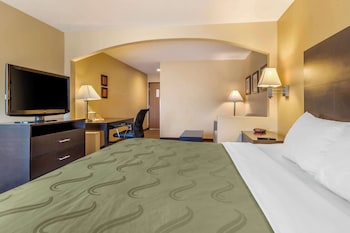 Suite, 1 King Bed with Sofa bed