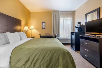 Room, 1 King Bed, Accessible, Non Smoking