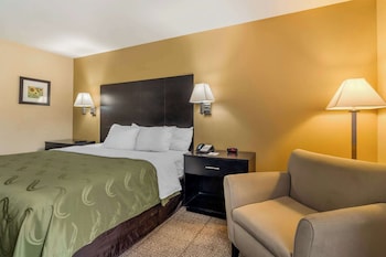 Standard Room, 1 King Bed, Non Smoking