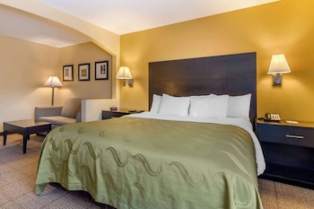 Suite, 1 King Bed with Sofa bed
