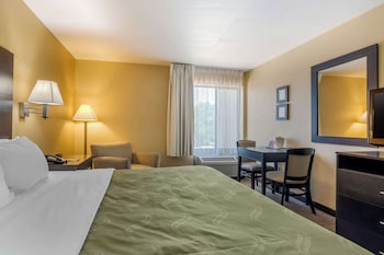 Standard Room, 1 King Bed, Non Smoking