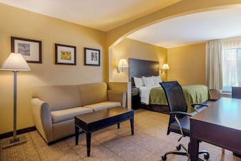 Suite, 1 King Bed with Sofa bed