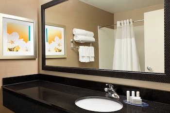 Room, 1 King Bed (Mobility/Hearing Access, Roll-In Shwr)