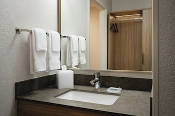 Suite, 1 King Bed with Sofa bed