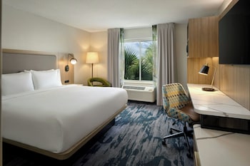 Room, 1 King Bed