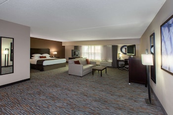 Room, 1 King Bed with Sofa bed, Non Smoking