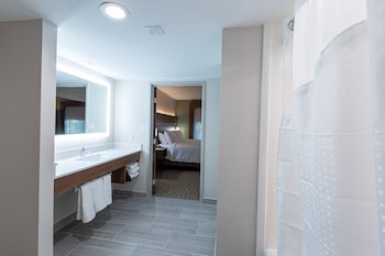Suite, 1 King Bed