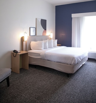 Room, 1 King Bed, Accessible (Mobility & Hearing, Roll-in Shower)
