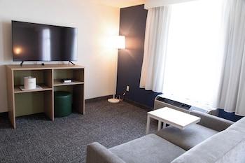 Room, 1 King Bed with Sofa bed