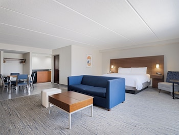 Suite, 1 King Bed with Sofa bed
