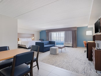 Suite, 1 King Bed with Sofa bed