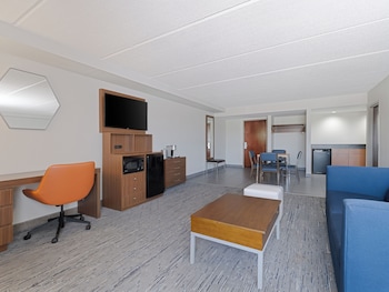 Suite, 1 King Bed with Sofa bed