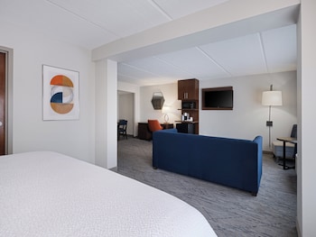 Suite, 1 King Bed with Sofa bed