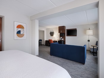 Suite, 1 King Bed