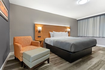 Room, 1 King Bed, Accessible, Non Smoking