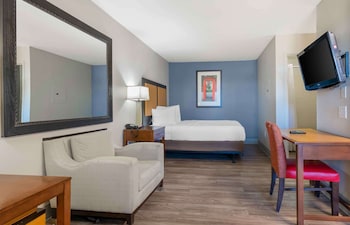 Studio, 1 Queen Bed, Non Smoking
