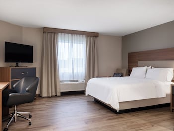 Studio Suite, 1 Queen Bed