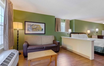 Deluxe Studio, 1 King Bed with Sofa bed