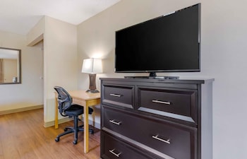 Deluxe Studio, 1 King Bed with Sofa bed