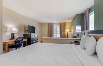 Deluxe Studio, 1 King Bed with Sofa bed