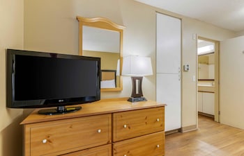 Studio, 2 Double Beds