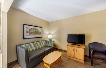 Deluxe Studio, 1 Queen Bed with Sofa bed, Non Smoking