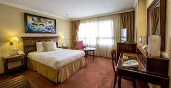 Double Room Single Use, 1 King Bed