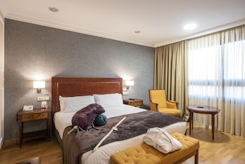 Double Room Single Use, 1 King Bed