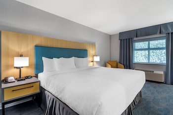 Standard Room, 1 King Bed, Non Smoking