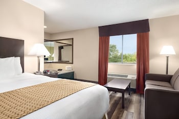 Suite, 1 King Bed