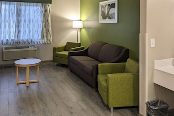 Suite, 1 King Bed with Sofa bed, Non Smoking